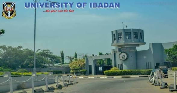 University of Ibadan Distance Learning Courses and Fees